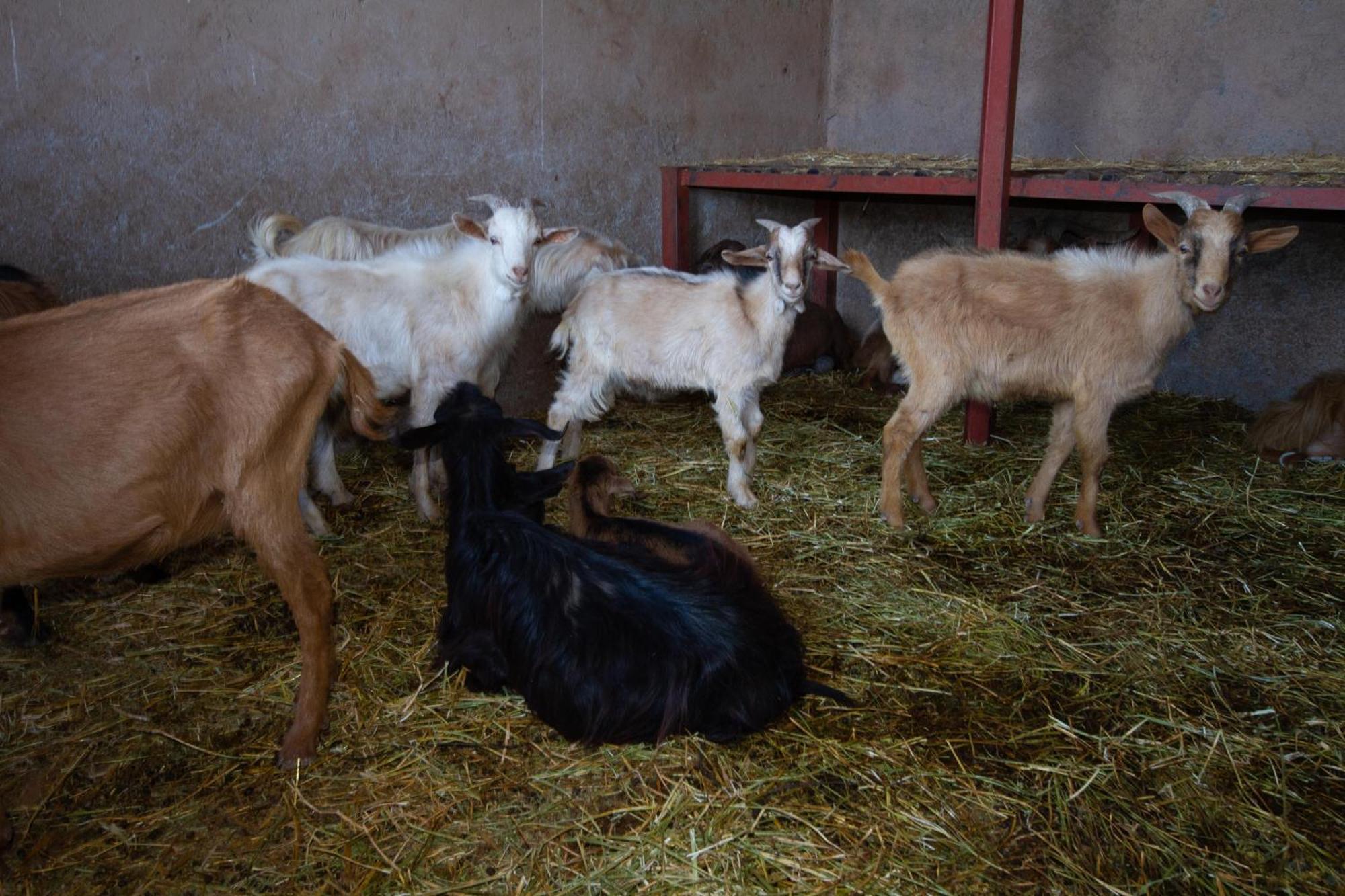 La Ferme De Lalladom 塔麦斯鲁特 外观 照片
