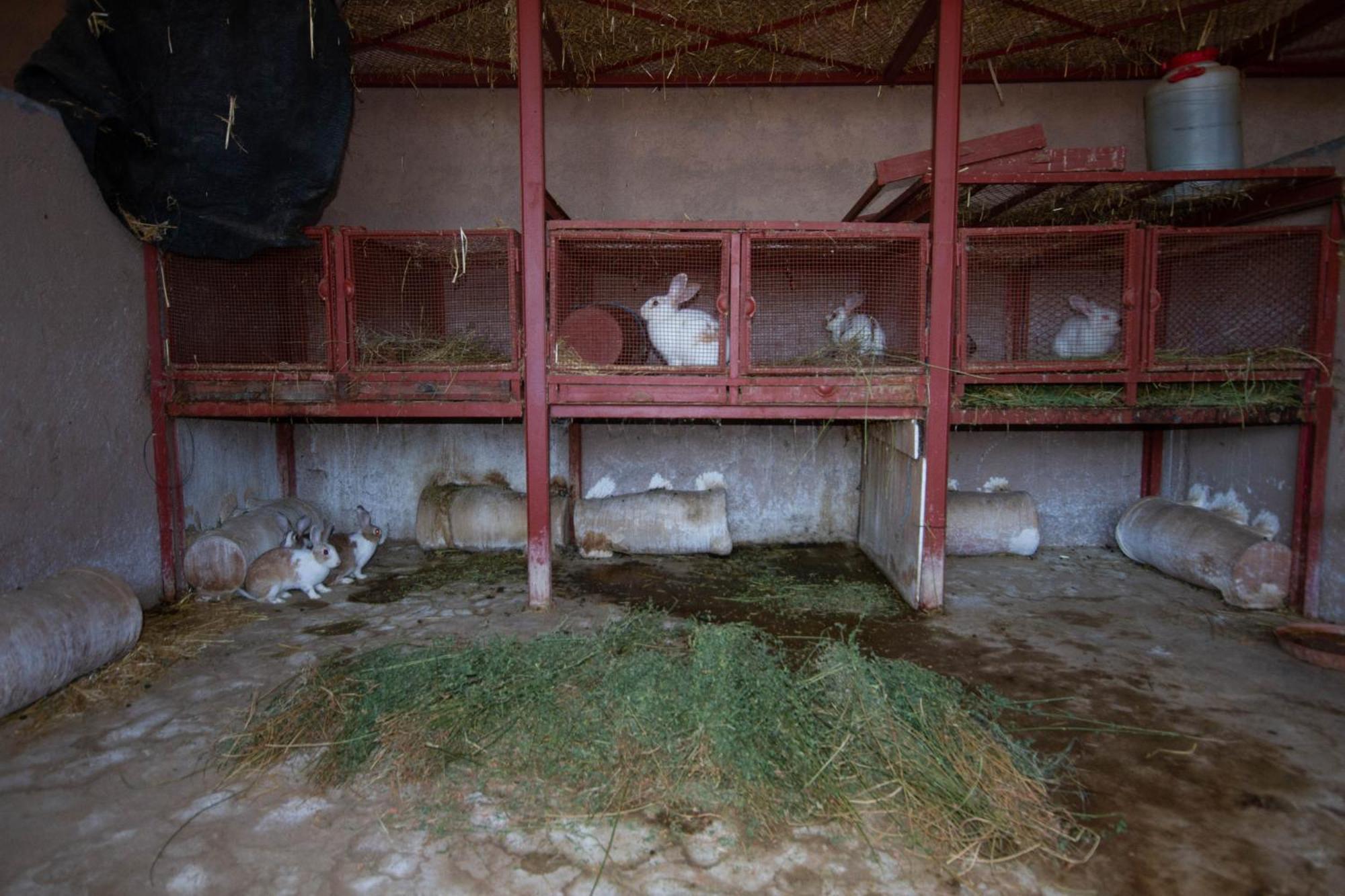 La Ferme De Lalladom 塔麦斯鲁特 外观 照片